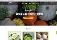 寿宁商城网站